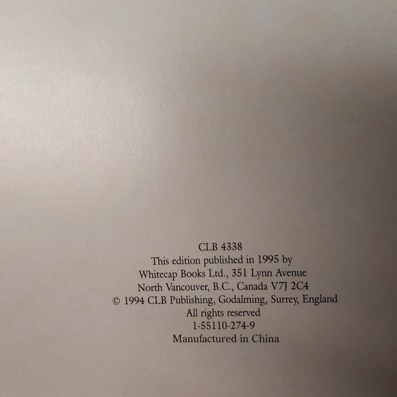 Vintage 1995 The Victorian Photography Album (Harcover-Red) - Picture 6 of 9